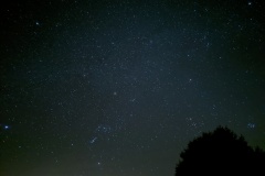 PXL_20210403_035237774.NIGHT_