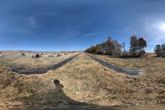 PXL_20210403_164941450.PHOTOSPHERE