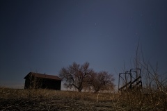 PXL_20210424_034950869.NIGHT_