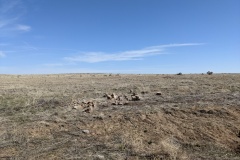 PXL_20210424_161624108.MP_