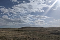 PXL_20210424_225303539.MP_