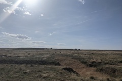 PXL_20210424_225312414.MP_