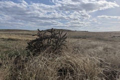 PXL_20210424_225859370.MP_
