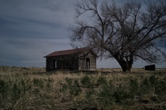 original_604b6f46-1f42-4862-a0d2-fdeeac325ae6_PXL_20210425_031529430.NIGHT_