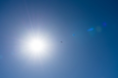 004_20210524